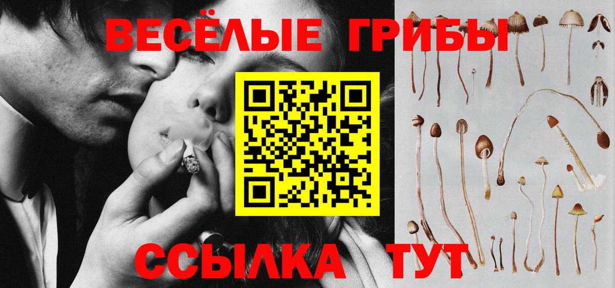 Псилоцибиновые грибы GOLDEN TEACHER  Вход с VPN  Ковров 