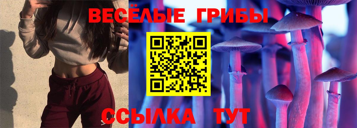 Галлюциногенные грибы ЛСД Ковров